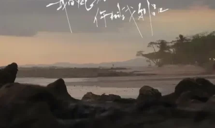 My Tears Are Your Trophies我的眼泪你的战利品(Wo De Yan Lei Ni De Zhan Li Pin) By Yu Dongran于冬然