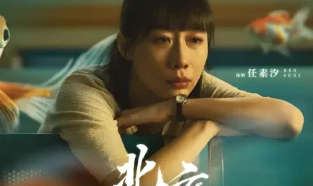 North北方(Bei Fang) Left Right OST By Ren Suxi任素汐