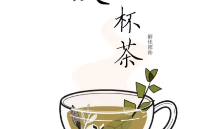 A Warm Cup of Tea暖了一杯茶(Nuan Le Yi Bei Cha) By Shao Shuai邵帅