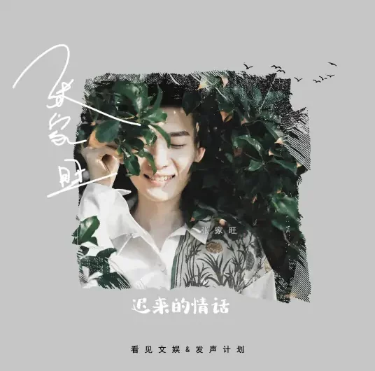 Late Love Words迟来的情话(Chi Lai De Qing Hua) By Zhang Jiawang张家旺
