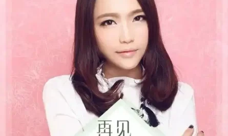 Goodbye, Just a Stranger再见只是陌生人(Zai Jian Zhi Shi Mo Sheng Ren) By Ada Zhuang Xinyan庄心妍
