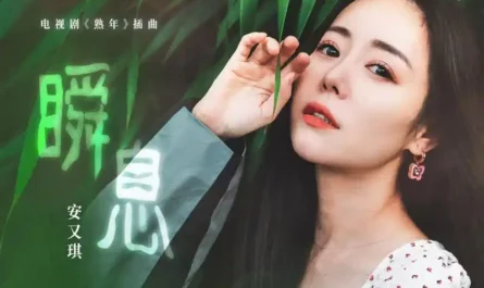 Instant瞬息(Shun Xi) In Later Years OST By Angela An Youqi安又琪