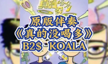 Really Didn't Drink Much真的没喝多(Zhen De Mei He Duo) By B2$ & KOALA