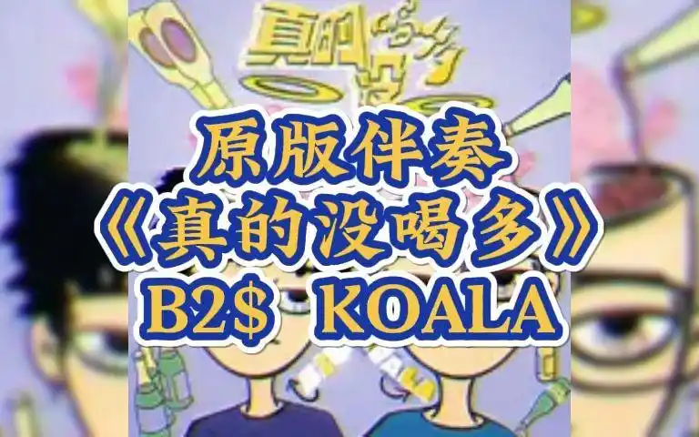 Really Didn't Drink Much真的没喝多(Zhen De Mei He Duo) By B2$ & KOALA