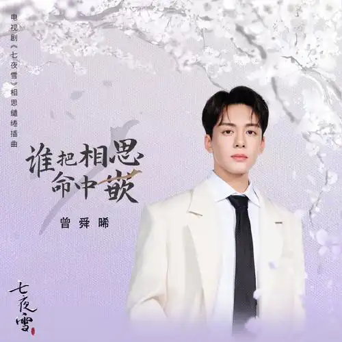 Who Embedded Lovesickness Into Fate谁把相思命中嵌(Shui Ba Xiang Si Ming Zhong Qian) Snowy Night Timeless Love OST By Joseph Zeng Shunxi曾舜晞