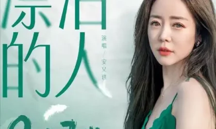 Wandering People漂泊的人(Piao Bo De Ren) Ode to Joy Season 5 OST By Angela An Youqi安又琪