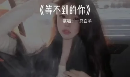 Can't Wait For You等不到的你(Deng Bu Dao De Ni) By Yang一只白羊