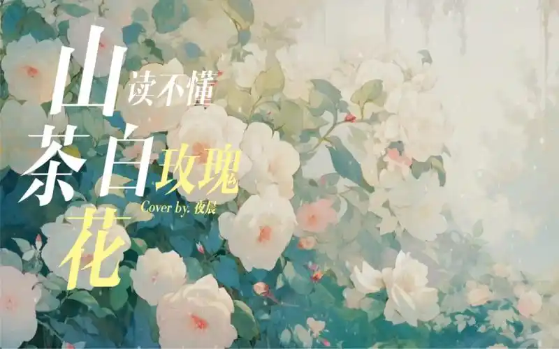 The Camellia Cannot Comprehend The White Rose山茶花读不懂白玫瑰(Shan Cha Hua Du Bu Dong Bai Mei Gui) By Lil笑笑