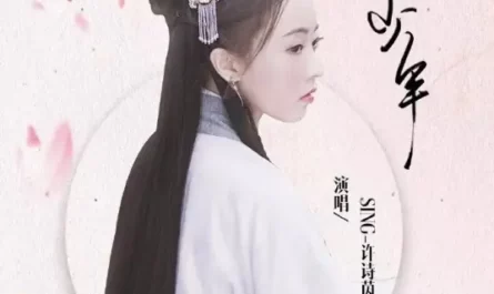 White-clad Young Man白衣少年(Bai Yi Shao Nian) I Will Never Let You Go OST By Xu Shiyin许诗茵(SING)