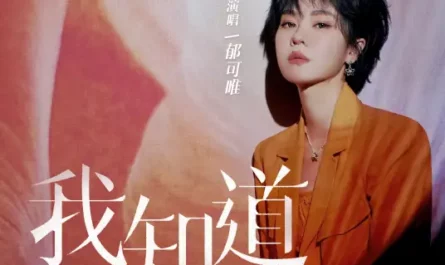 I Remember That我知道(Wo Zhi Dao) Imperfect Victim OST By Yisa Yu郁可唯