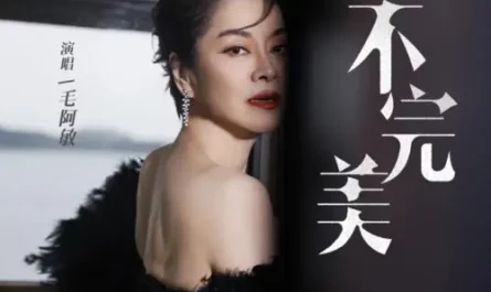 Imperfect不完美(Bu Wan Mei) Imperfect Victim OST By Mao Amin毛阿敏
