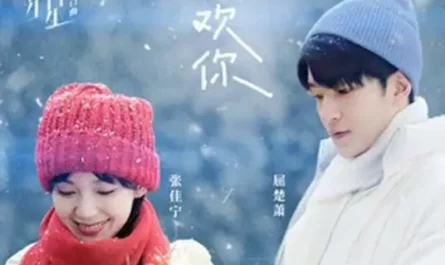 I Like You喜欢你(Xi Huan Ni) Shining for One Thing: The Movie OST By Qu Chuxiao屈楚萧 & Karlina Zhang Jianing张佳宁
