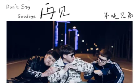 Don't Say Goodbye不要说再见(Bu Yao Shuo Zai Jian) My Strange Friend OST By Half Ton Brothers半吨兄弟