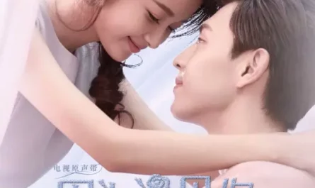 Because of Meeting You因为遇见你(Yin Wei Yu Jian Ni) Because of Meeting You OST By A Qiao阿悄 & Ryan Zhu Yuanbing朱元冰