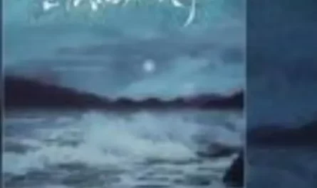 Ode To Loneliness孤独颂歌(Gu Du Song Ge) By Chen Wenfei陈文非