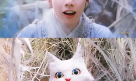 Big White Cat大白猫(Da Bai Mao) White Cat Legend OST By Zhou Qi周奇