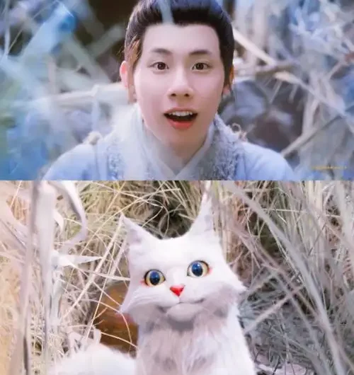Big White Cat大白猫(Da Bai Mao) White Cat Legend OST By Zhou Qi周奇
