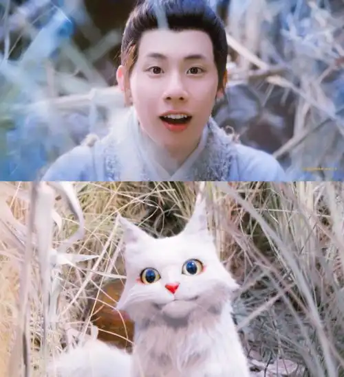 Big White Cat大白猫(Da Bai Mao) White Cat Legend OST By Zhou Qi周奇