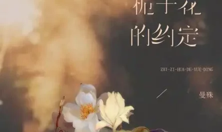 The Promise of Gardenia栀子花的约定(Zhi Zi Hua De Yue Ding) By Zhou Linfeng周林枫