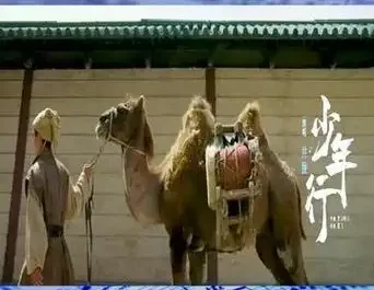 Youth Journey少年行(Shao Nian Xing) White Cat Legend OST By Jing Long井胧