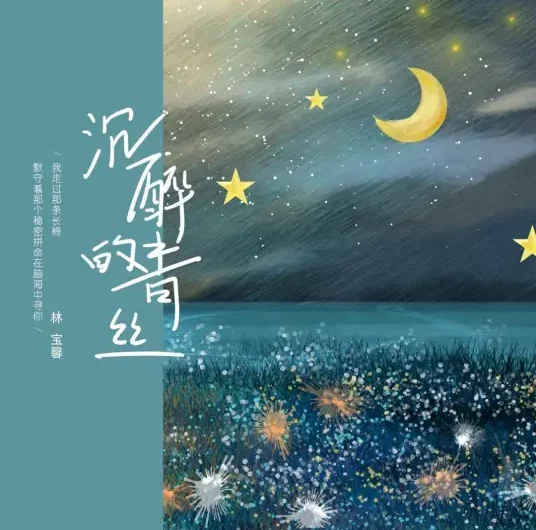 A Young Lady’s Intoxicating Black Hair沉醉的青丝(Chen Zui De Qing Si) By Lin Baoxin林宝馨