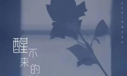 The Dream That I Cannot Wake Up From醒不来的梦(Xing Bu Lai De Meng) By SHIER拾贰