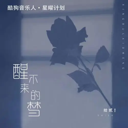 The Dream That I Cannot Wake Up From醒不来的梦(Xing Bu Lai De Meng) By SHIER拾贰