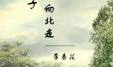 You Walk Toward North公子向北走(Gong Zi Xiang Bei Zou) By Li Chunhua李春花