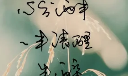 Half Sober and Half Drunk一半清醒一半醉(Yi Ban Qing Xing Yi Ban Zui) By Huang Jingmei黄静美 & Young Joe乔洋