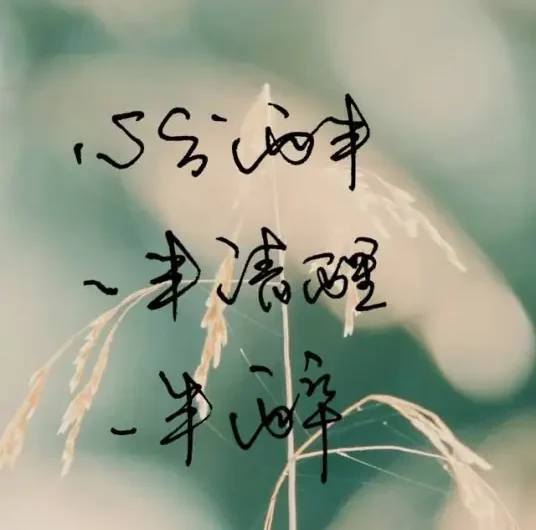Half Sober and Half Drunk一半清醒一半醉(Yi Ban Qing Xing Yi Ban Zui) By Huang Jingmei黄静美 & Young Joe乔洋