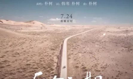 The Ordinary Road平凡之路(Ping Fan Zhi Lu) Continent OST By Pu Shu朴树