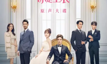 Confession表白(Biao Bai) I Am the Years You Are the Stars OST By Liu Haikuan刘海宽