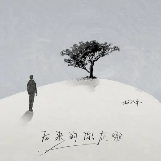 Where Were You Later后来的你在哪(Hou Lai De Ni Zai Na) By Shu Ze树泽