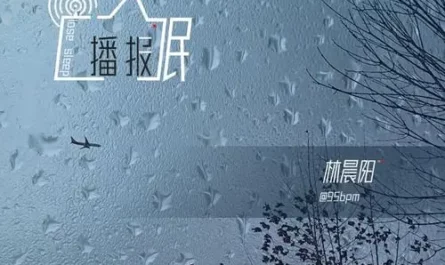 Insomnia Broadcast失眠播报(Shi Mian Bo Bao) By Lin Chenyang林晨阳