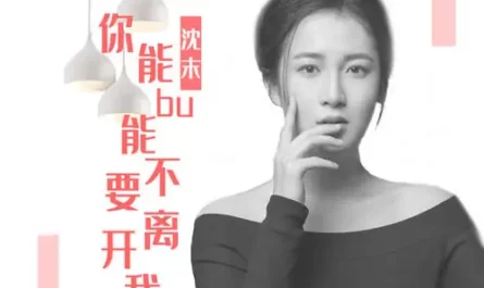 Please Don't Leave Me你能不能不要离开我(Ni Neng Bu Neng Bu Yao Li Kai Wo) By Shen Mo沈末