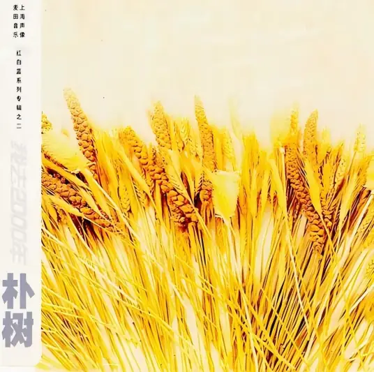 My Flowers那些花儿(Na Xie Hua Er) Where Have All the Flowers Gone OST By Pu Shu朴树