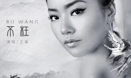 Not in Vain不枉(Bu Wang) The Untamed OST By Naomi Wang Ju王菊
