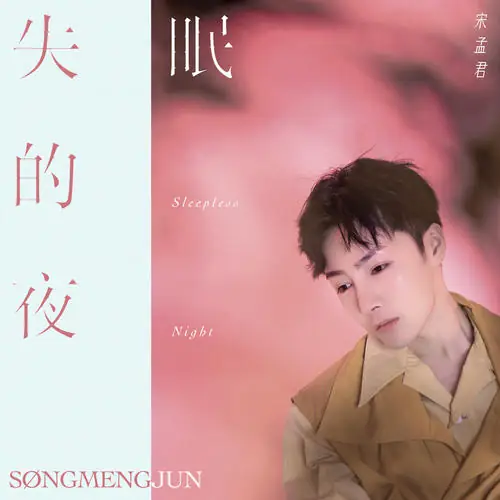 Sleepless Night失眠的夜(Shi Mian De Ye) By Song Mengjun宋孟君