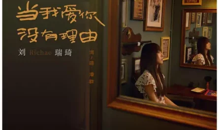 When I Love You for No Reason当我爱你没有理由(Dang Wo Ai Ni Mei You Li You) The Penalty Zone OST By Richael Liu Ruiqi刘瑞琦