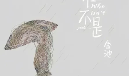Who Hasn't谁不是(Shui Bu Shi) By Ada Jin Chi金池