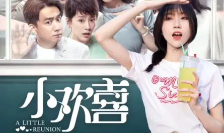 Little Joy小欢喜(Xiao Huan Xi) A Little Reunion OST By Richael Liu Ruiqi刘瑞琦