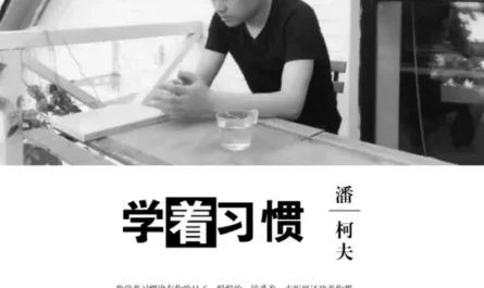 Learning To Adapt Without You学着习惯(Xue Zhe Xi Guan) By Pan Kefu潘柯夫