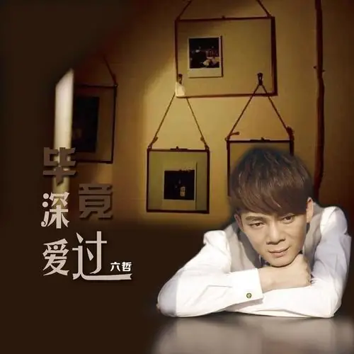 We Once Did Love After All毕竟深爱过(Bi Jing Shen Ai Guo) By Liu Zhe六哲