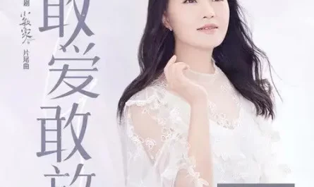 Dare to Love and Dare to Let Go敢爱敢放(Gan Ai Gan Fang) A Little Mood for Love OST By Lei Jia雷佳