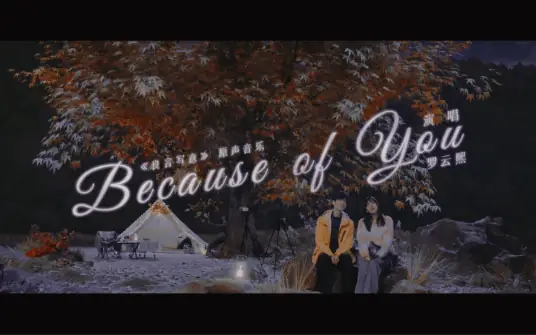 Because of You (Lie to Love OST) By Luo Yunxi罗云熙