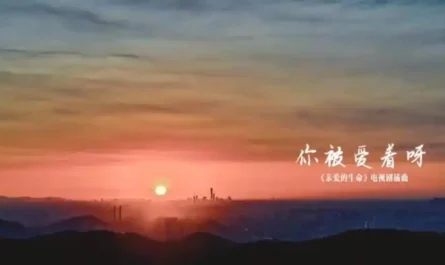 You're Being Loved你被爱着呀(Ni Bei Ai Zhe Ya) Beloved Life OST By Deanna Ding Shuang丁爽