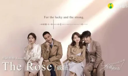 The Rose (No Secrets OST) By Stephy Qi Wei戚薇