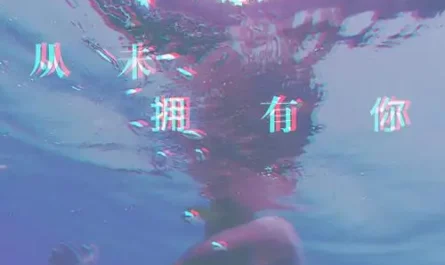 Never Had You从未拥有你(Cong Wei Yong You Ni) By Hu Xiaofei胡小斐