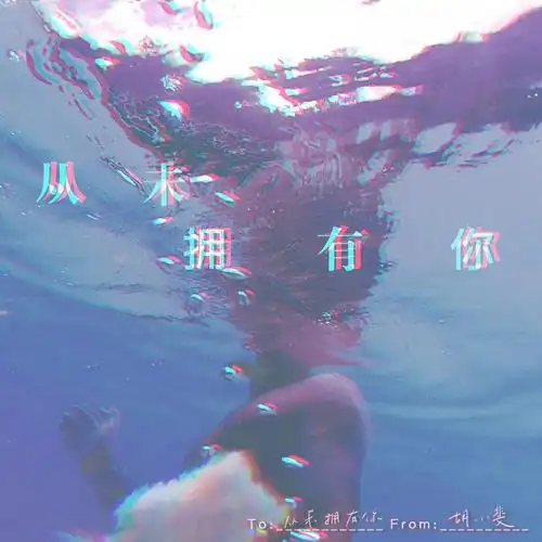 Never Had You从未拥有你(Cong Wei Yong You Ni) By Hu Xiaofei胡小斐