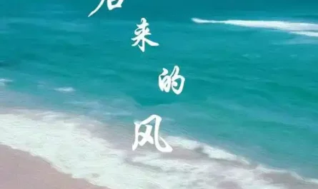 The Wind Later后来的风(Hou Lai De Feng) By Lu Sansan陆三三